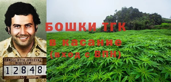 прущие крисы Вязьма