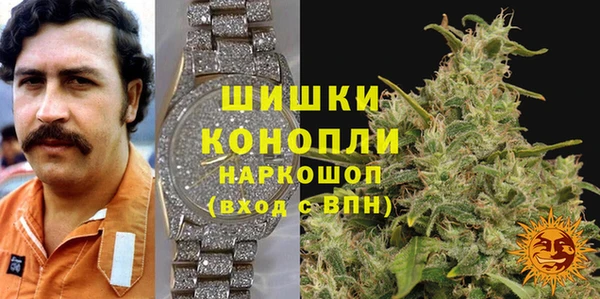 сатива Вяземский