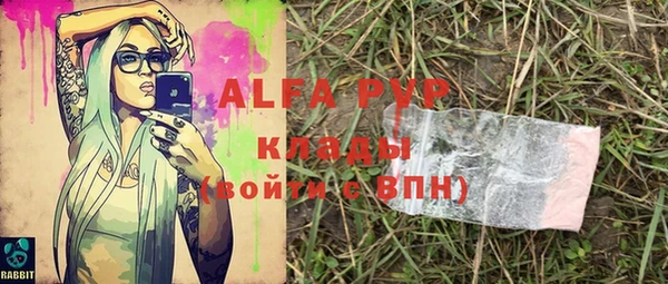 прущие крисы Вязьма