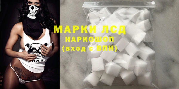 сатива Вяземский
