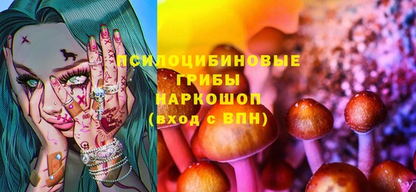 прущие крисы Вязьма