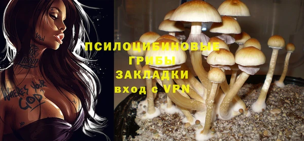 спайс Вязники