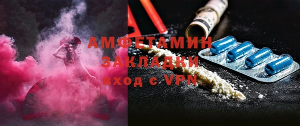 сатива Вяземский