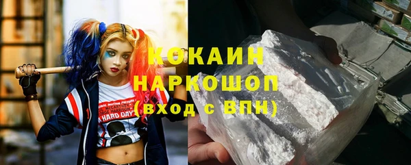 сатива Вяземский