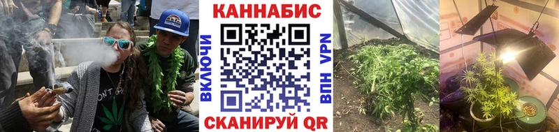 МАРИХУАНА OG Kush  Купить где  Геленджик 
